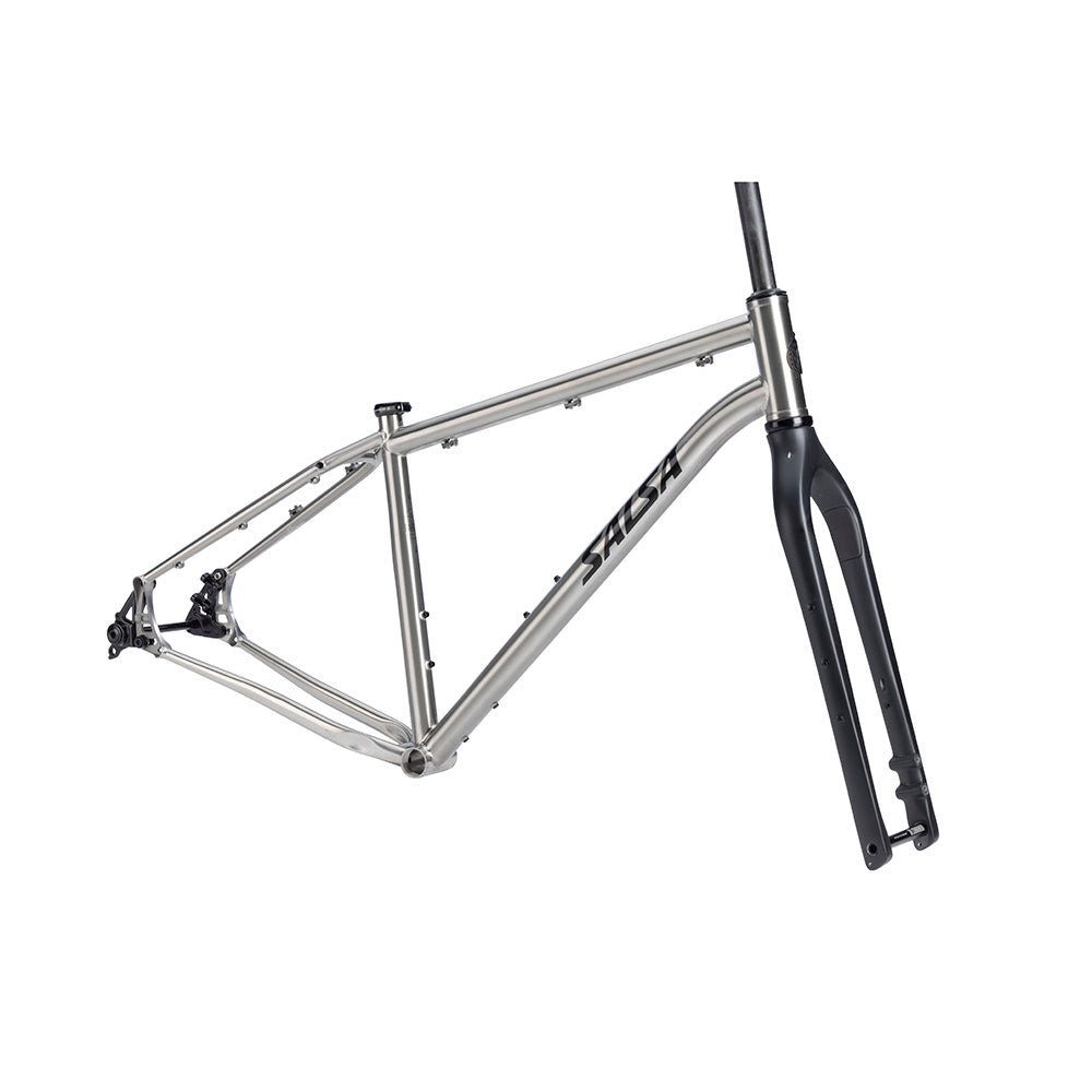 Salsa Fargo Ti Md Brushed Titanium