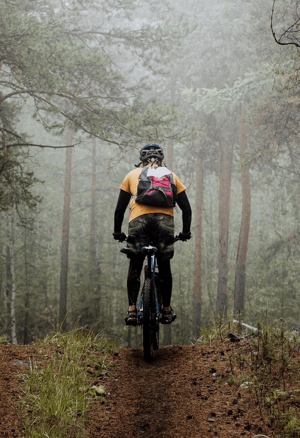 Bicycle Parts and Accessories BikeParts