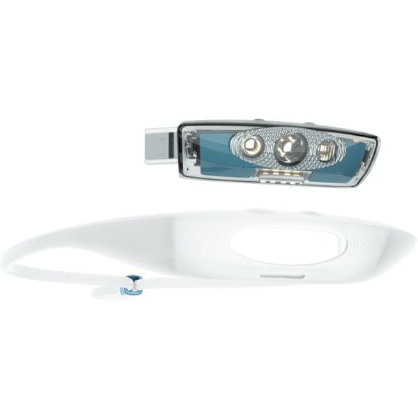 Knog Bandicoot Run 250 Head Torch - Blue