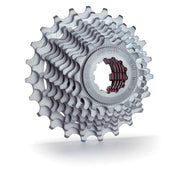 miche-primato-10x-12-29-sh-cassette