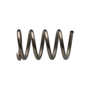 campagnolo-cable-adjusting-spring-(10)