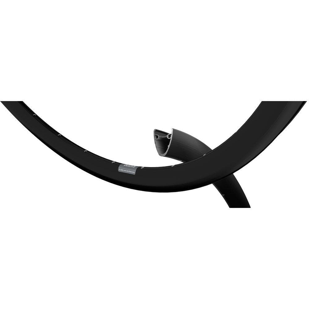 ryde-dutch-19-700c-36h-disc-blk