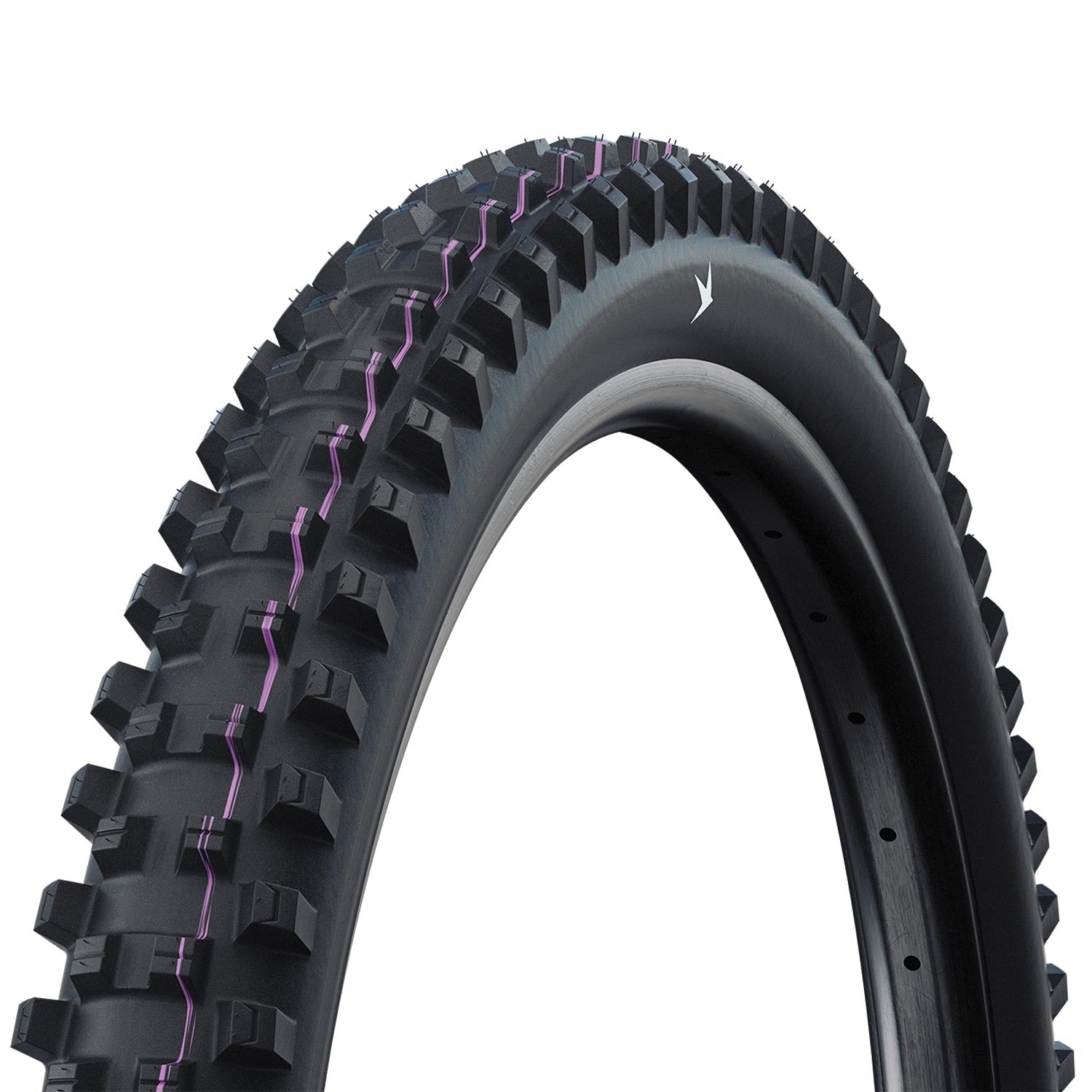 Schwalbe Shredda Gravity Pro Radial Ultra Soft TLR Folding - Rear - Black Folding