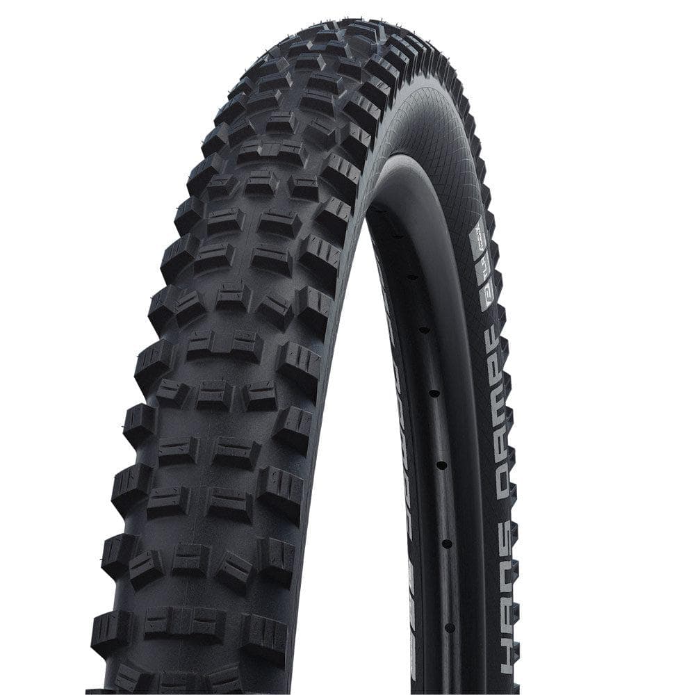 Schwalbe Hans Dampf Performance TLE Folding