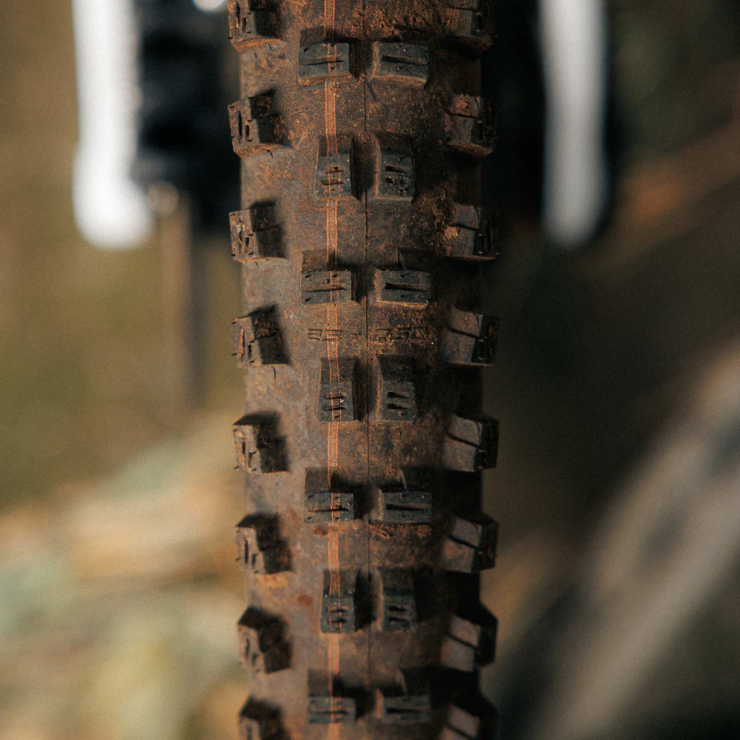 Schwalbe Tacky Chan Gravity Pro Folding TLR - 27.5x2.40 - Black Folding