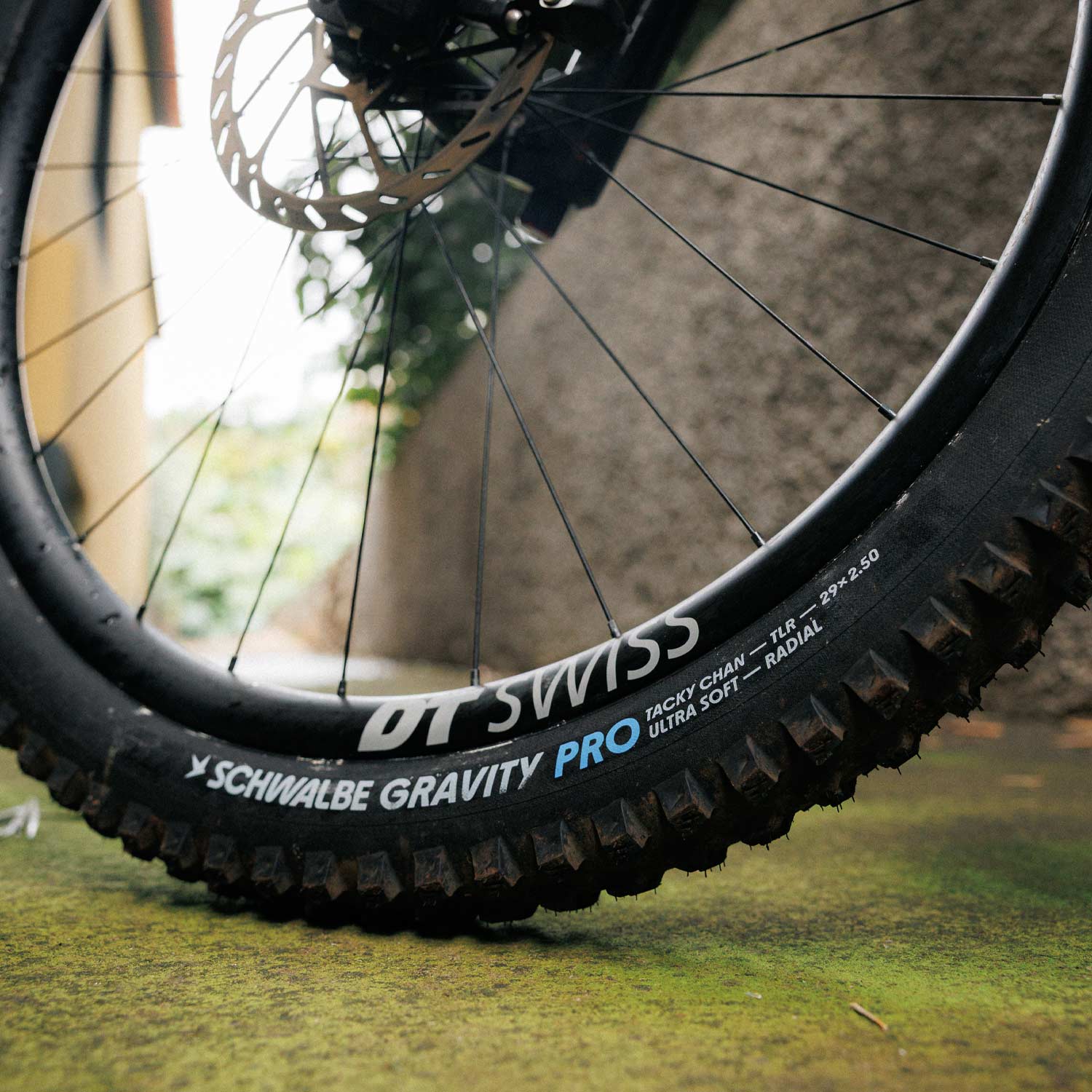 Schwalbe Tacky Chan Gravity Pro Folding TLR - 27.5x2.40 - Black Folding