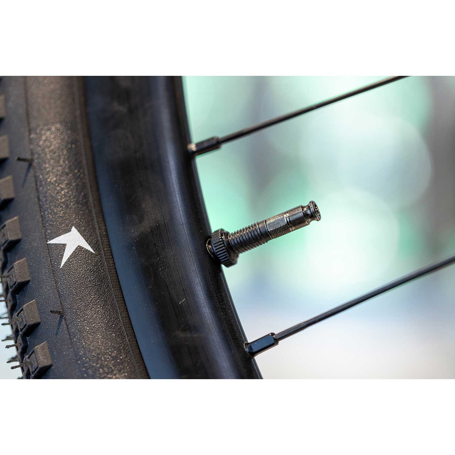 Schwalbe Clik Valve Tubeless Valves SCV Pair