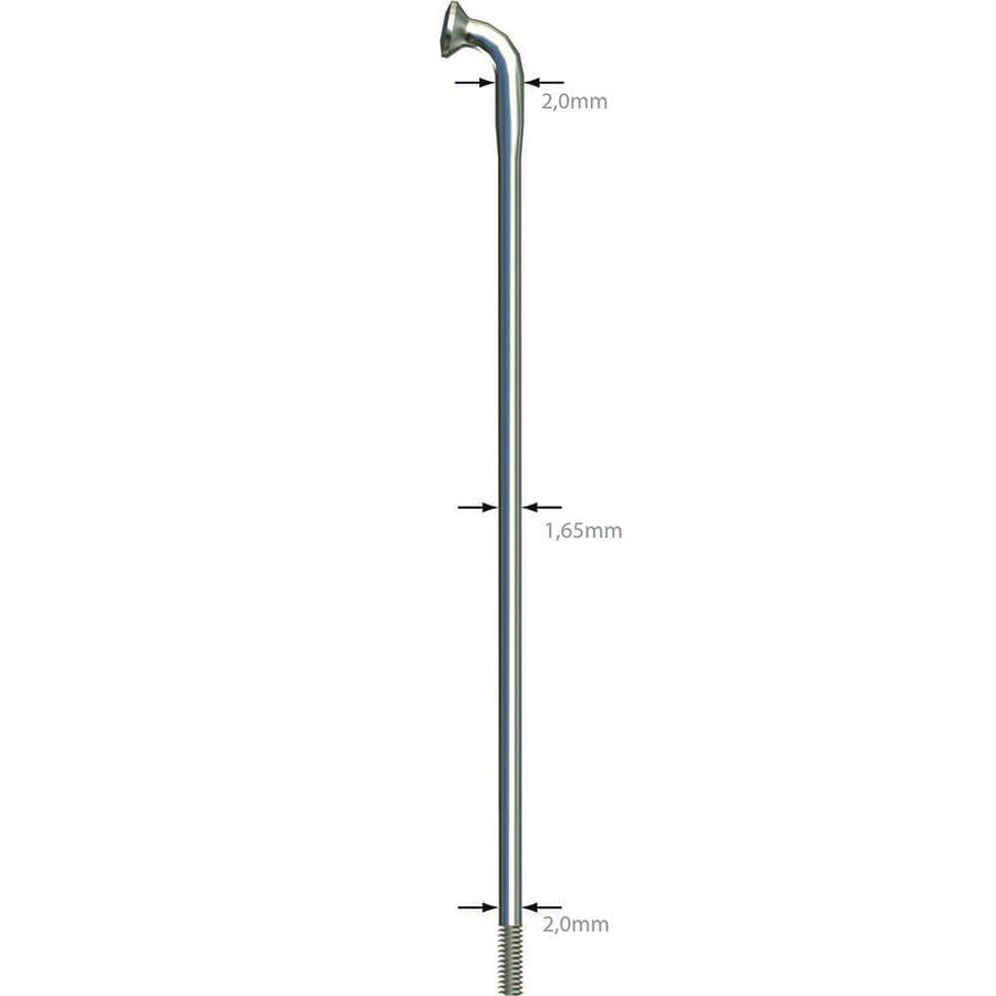 Sapim D-Light 14G Disc D/B Sil 256mm (100)
