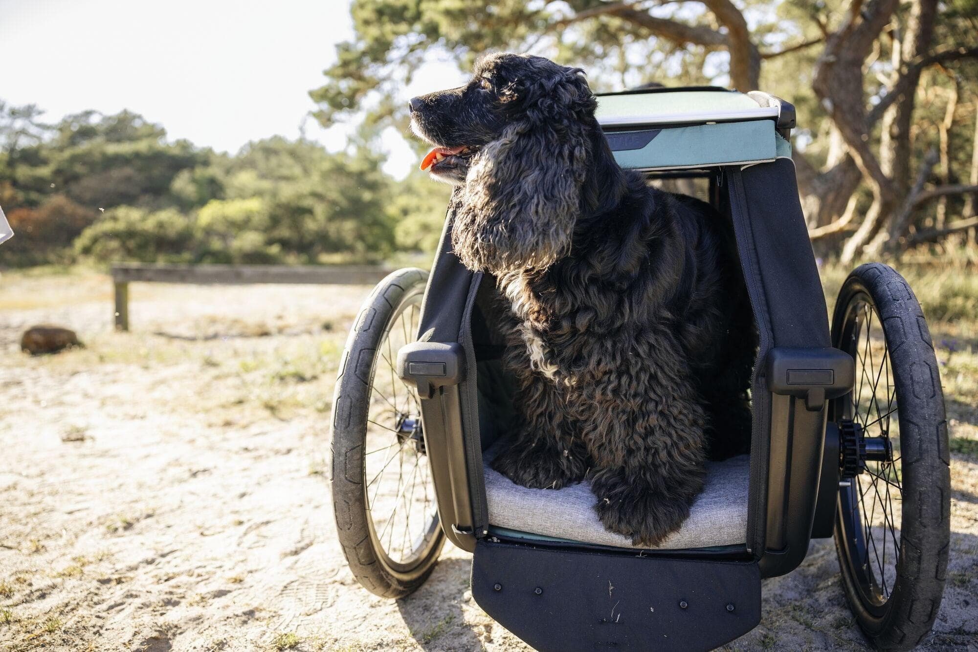 Thule Bexey Dog Bed Large