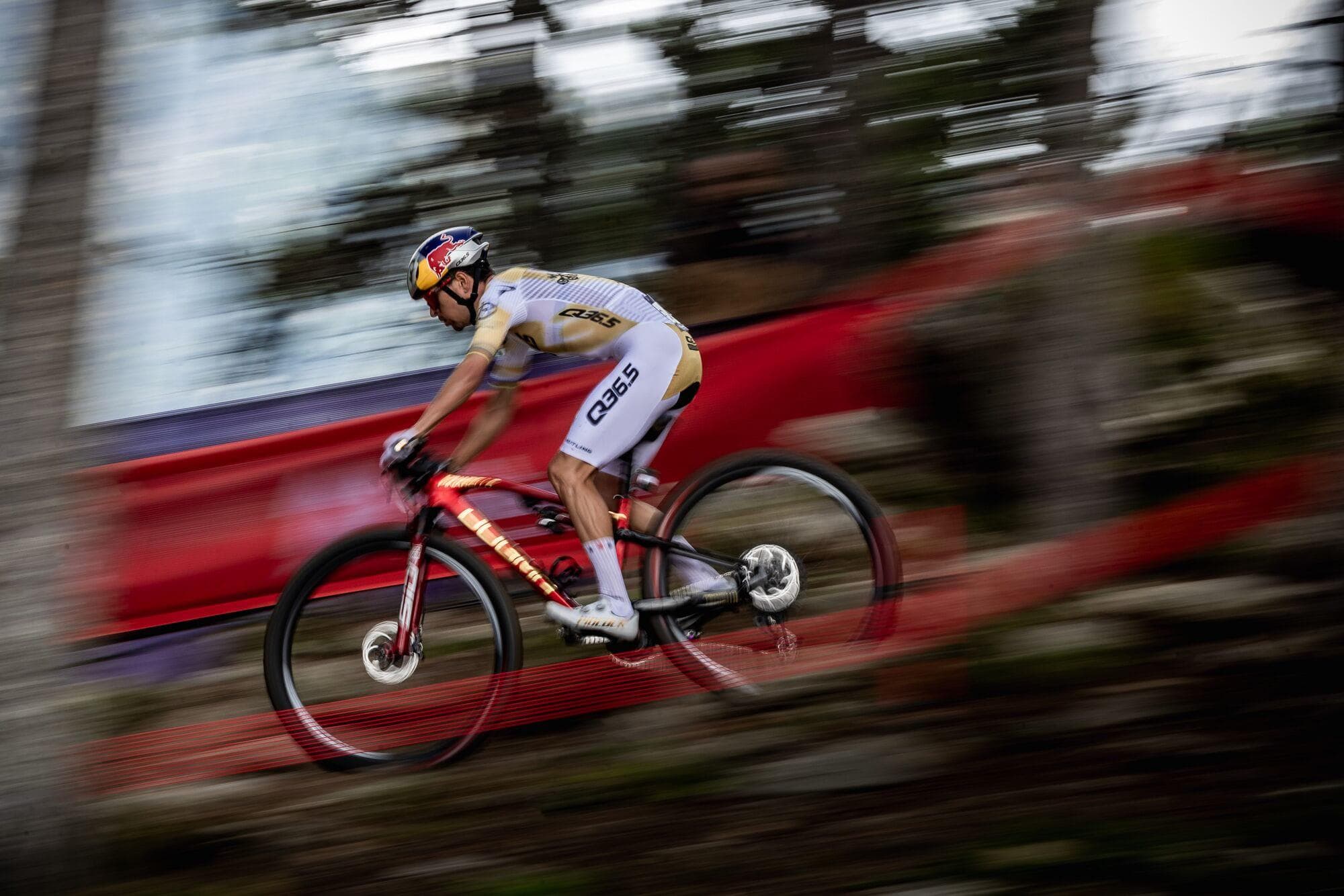 Vittoria Peyote Race 29x2.25 XC Full Black G2.0 Tyre