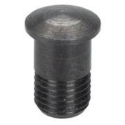 campagnolo-zonda-magnetic-nipple-screw-2013+