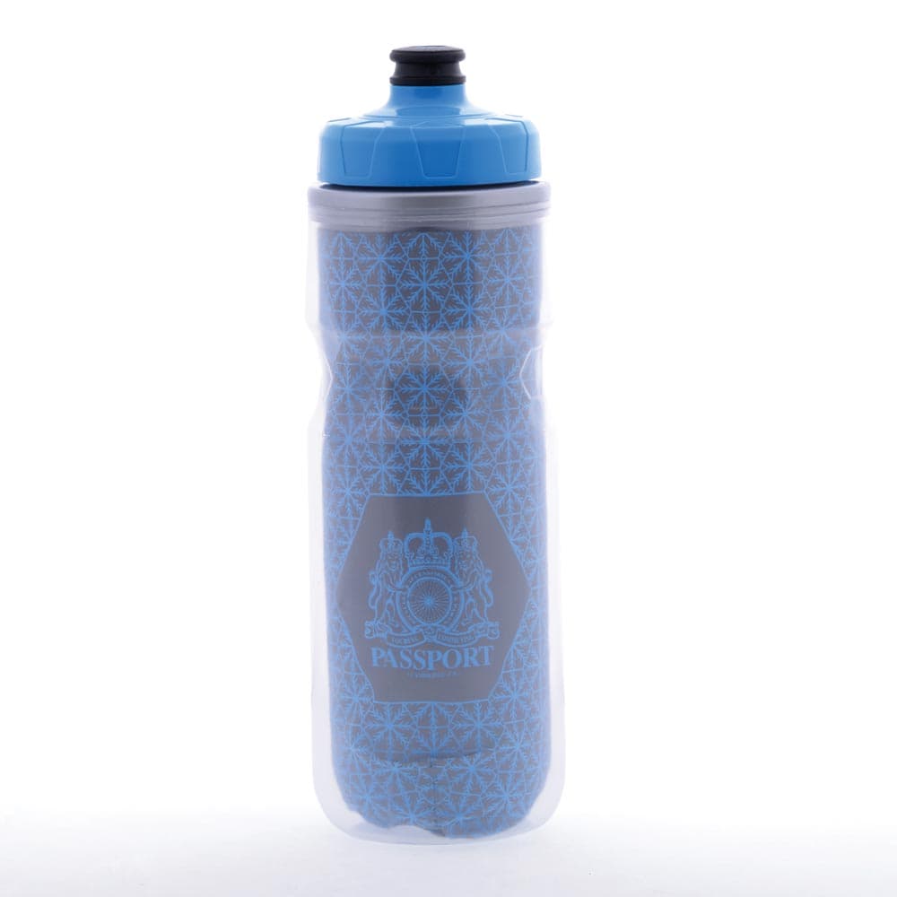 Passport Frostbright Insulated Reflective Water Bottle Silver/Blue 550ml