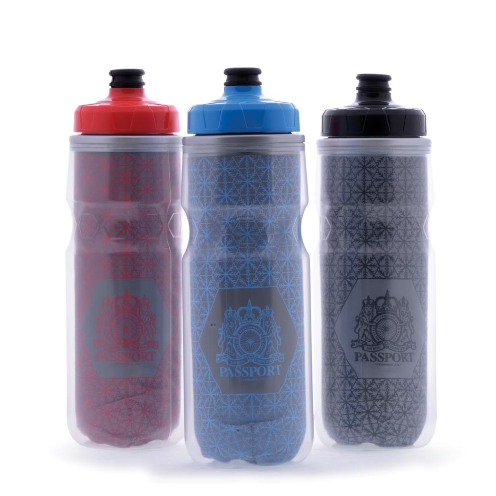 Passport Frostbright Insulated Reflective Water Bottle Silver/Blue 550ml