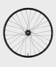 Race Face Turbine 30mm Wheel - Rear - 29"12x148mm CL XD Driver
