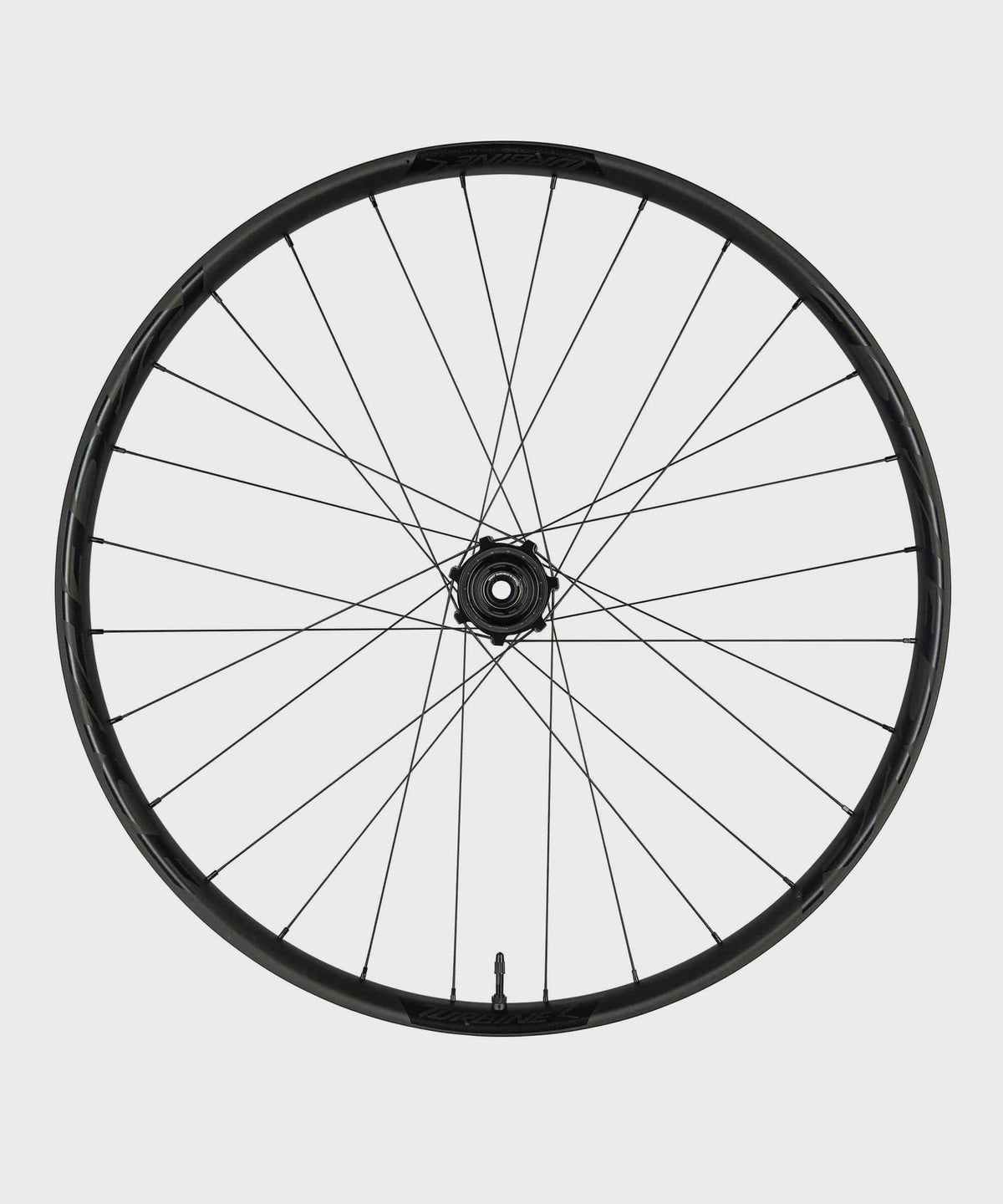 Race Face Turbine 30mm Wheel - Front - 29"15x110mm CL