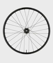 Race Face Turbine 30mm Wheel Rear 29"12x148 CL Micropline