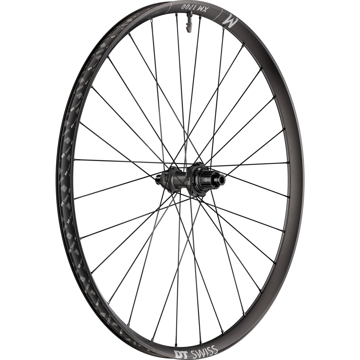DT Swiss XM 1700 wheel; 30 mm rim; 12 x 148 mm BOOST axle ; 29 inch rear MICRO SPLINE