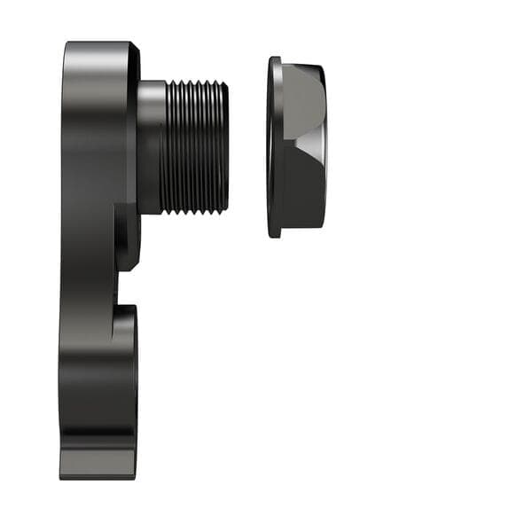 Wheels Manufacturing Replaceable Derailleur Hanger / Dropout 579