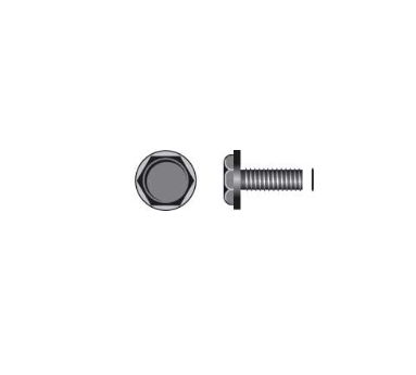 Load image into Gallery viewer, Raleigh Raleigh M8 X 16mm Crank Bolt - Flanged - 16mm - Silver
