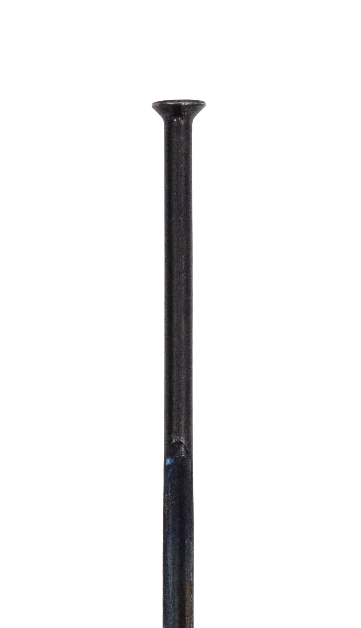 FSA Spoke Sapim CX-RAY (Black, Flat, DP)