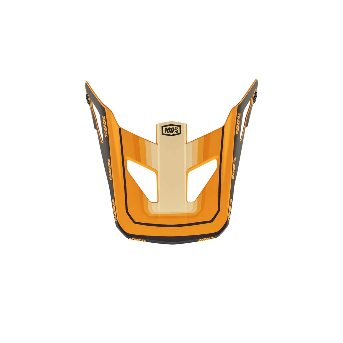 100% Status Youth Replacement Visor