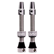 CushCore Tubeless Valves 55mm Silver