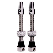 CushCore Tubeless Valves 44mm Silver